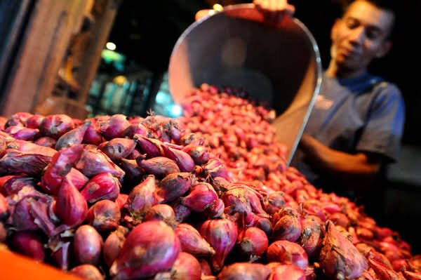 Bawang Merah Lokal Malra Kalah Saing dengan Bawang Impor
