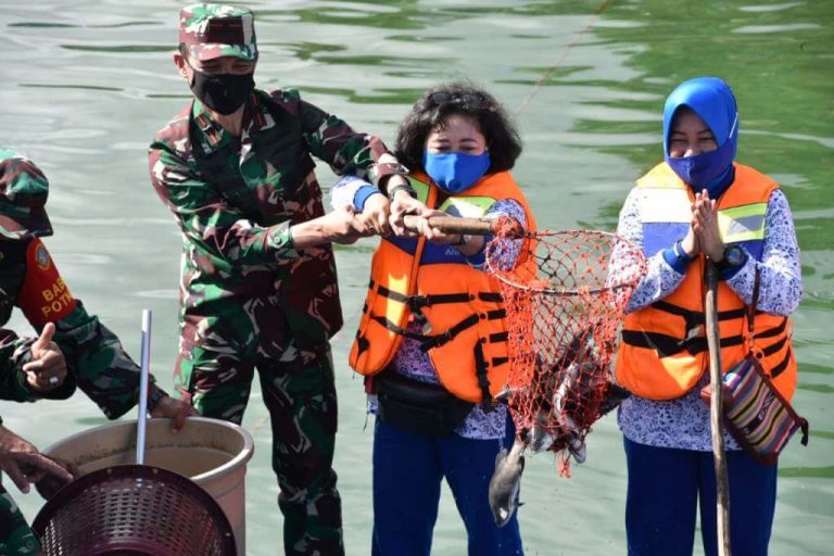 lantamal-ix-panen-ikan-ketahanan-pangan-130820-suaradamai