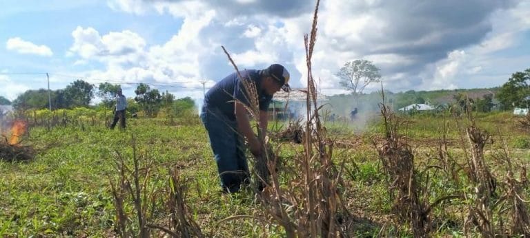 ASN dan Warga Mulai Lanjut Tanami “Ve’e Kes Yang” Tahap Dua