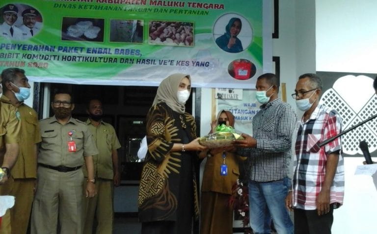 Dinas Ketahanan Pangan dan Pertanian Malra Salurkan Bantuan kepada Ratusan KK Dinas Ketahanan Pangan dan Pertanian Malra Salurkan Bantuan kepada Ratusan KK