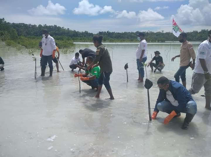 Cegah Abrasi, DPC PKB Malra Tanam Pohon Bakau.