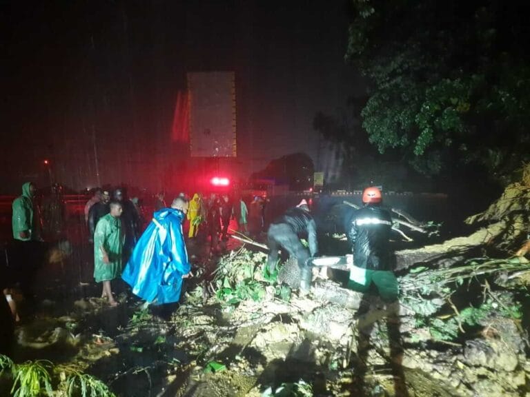 SAR Detasemen Gegana Brimob Maluku Bersama Warga Bersihkan Puing Pohon Pasca Hujan Besar di Ambon