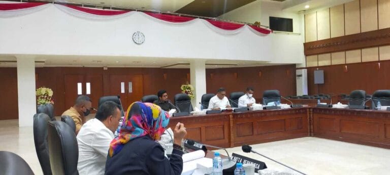 Anggota DPRD Maluku Pertanyakan Kualitas Proyek Talud Pengedalian Sidemen Wai Ela