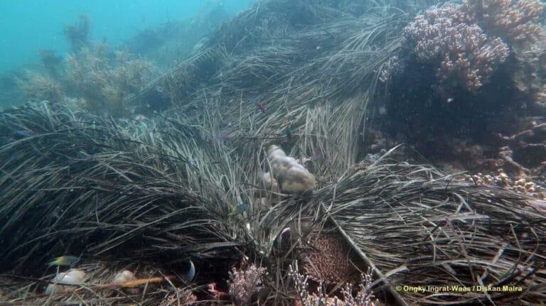 Sampah akibat aktivitas kapal-kapal pengambil telur ikan terbang saat ini mencemari dasar laut wilayah konservasi TPK Kei Kecil Kabupaten Maluku Tenggara. Foto: Dinas Perikanan Malra