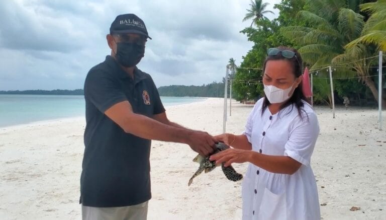 Kepala Resort KSDA Tual Yopi Jamlean menerima seekor penyu sisik dari warga setempat untuk dilepas-liarkan di Pantai Wisata Ngurbloat, Sabtu (18/9/2021). Foto: Labes Remetwa