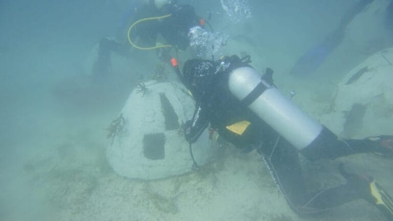 Para penyelam dari Polikant Diving Club (PDC) menempatkan 24 rumah ikan buatan jenis reef ball di perairan Pulau Warhu, Ohoi Tetoat, Kecamatan Hoat Sorbay, Kabupaten Maluku Tenggara, Rabu (15/9/2021). Foto: Dokpri