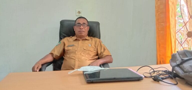 DPKP Malra Dorong Cluster Wortel Di Kei Besar