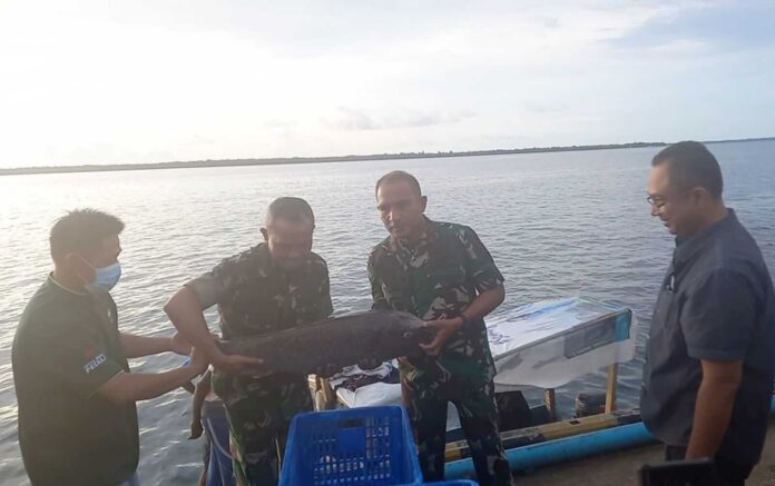 Kunker itu dalam rangka meninjau pemberdayaan masyarakat nelayan di wilayah Kota Tual dan Kabupaten Maluku Tenggara.
