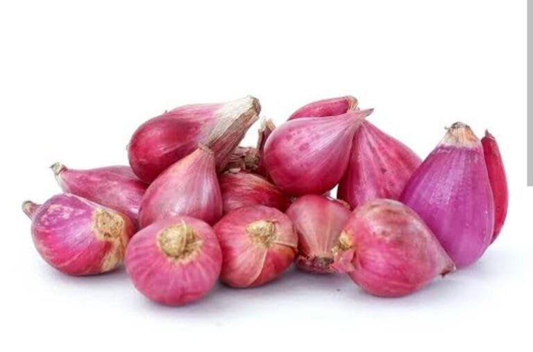 Bawang merah (Gambar: Lojin)