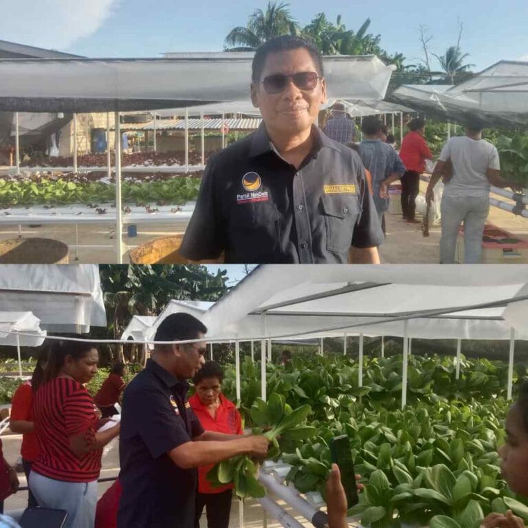 Anggota DPRD Kota Tual Rivai Sether saat meninjau lokasi Kebun Sayur Hidroponik, Sabtu (29/4/2023) Foto: Ketty Remetwa