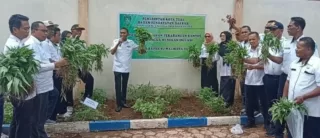 Tekan Laju Inflasi, Pemkot Tual Sulap Lahan Kosong Jadi Pekarangan Sayur