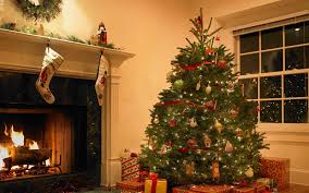 Foto Istimewa: Pohon Natal