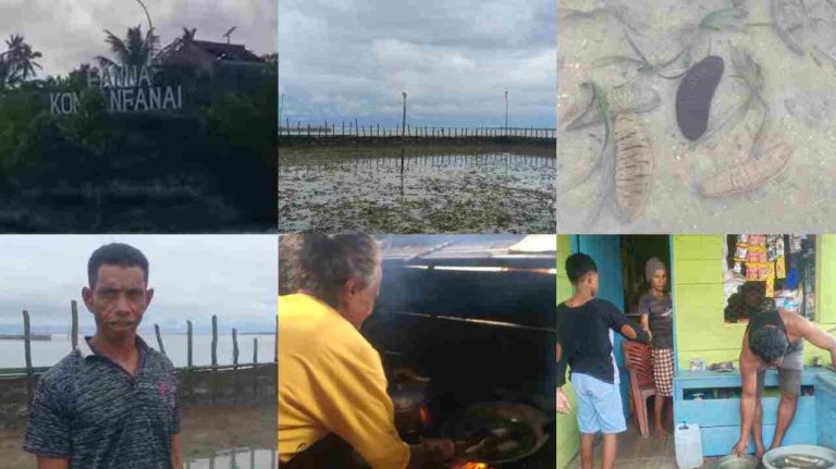 Potret Budidaya Teripang Berbasis Sasi di Kompane, Sejalan dengan Visi Ekonomi Biru Bupati Kaidel